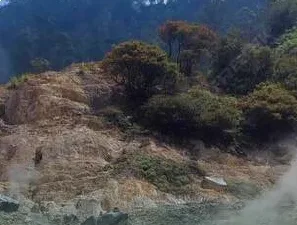 Forested hill slope with landslide scars